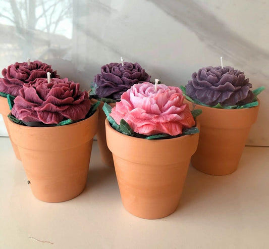 Bloom Pot Candles 🌸🪴
